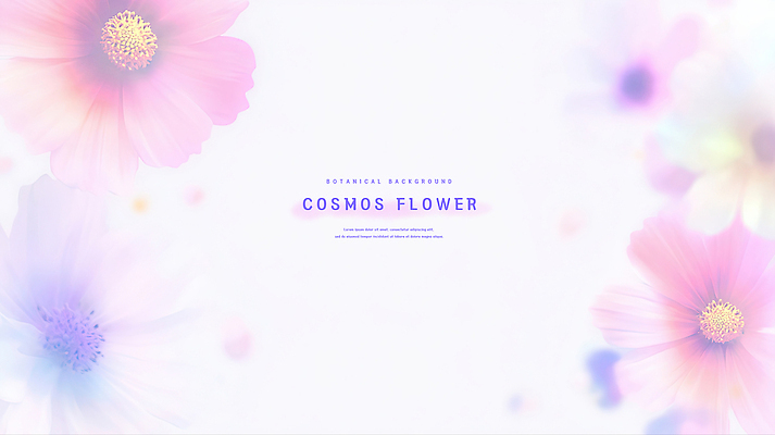 PSD 디자인 꽃 예술 컬러 백그라운드 일러스트 자연 생명 평화 봄 감각 분위기 코스모스 상쾌 원예 번짐 화사함 뷰티풀 소프트 국내일러스트 식물 계절 감정 컨셉 취미 생태계 파일형식 효과