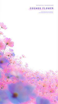 PSD 식물 꽃잎 꽃 컬러 백그라운드 일러스트 자연 풍경 햇빛 정원 봄 매력적 코스모스 화사함 뷰티풀 국내일러스트 계절 컨셉 태양 생태계 파일형식