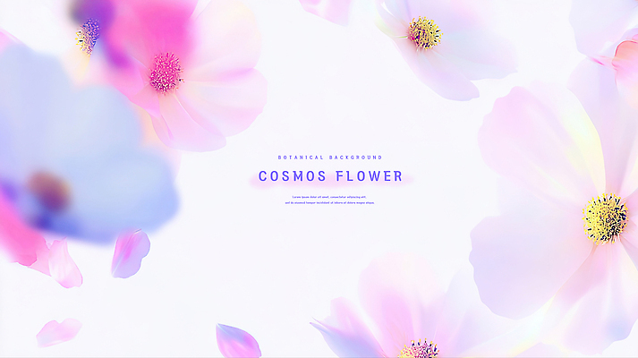 PSD 식물 꽃잎 꽃 분홍색 백그라운드 꽃밭 일러스트 자연 풍경 여름 햇빛 정원 보라색 봄 개화 코스모스 화사함 감성 뷰티풀 색채 차분 국내일러스트 계절 컬러 컨셉 태양 생태계 파일형식