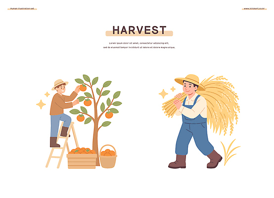 나무 계절 밭 농업 과일 일러스트 가족 곡류 풍경 야외 농작물 농장 수확 작업 제조 사과 농부 국내일러스트 AI파일 식물 직업 산업 관계 파일형식 벡터