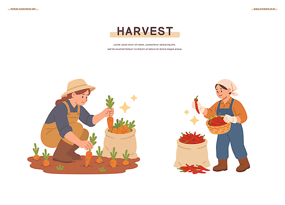 식물 농업 채소 일러스트 모션 자연 고추 감자 농작물 바구니 정원 농사 당근 수확 작업 농부 수확철 국내일러스트 AI파일 직업 산업 뿌리채소 생태계 파일형식 벡터