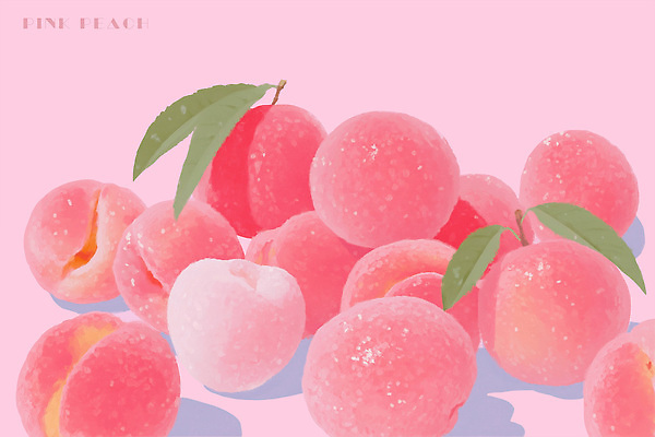 PSD 식물 디자인 분홍색 컬러 백그라운드 잎 과일 일러스트 자연 건강 장식 여름 오브젝트 복숭아 뷰티풀 디지털아트 국내일러스트 계절 생태계 파일형식
