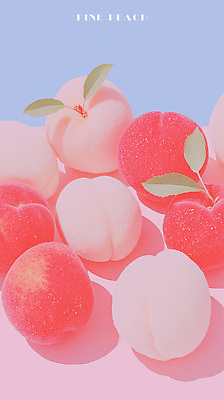 PSD 음식 컬러 잎 과일 일러스트 자연 디저트 건강 여름 빛 용수철 신선 달콤 배열 질감 복숭아 부드러움 화사함 뷰티풀 국내일러스트 식물 계절 컨셉 감각 맛 생태계 파일형식