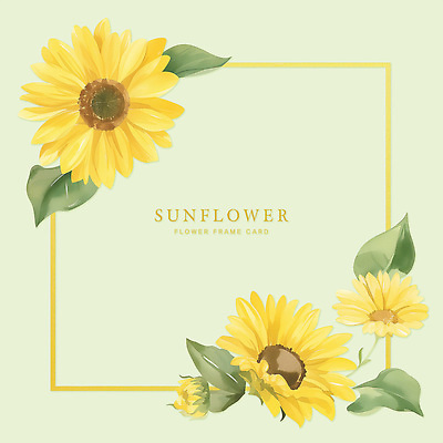 PSD 식물 디자인 기념일 꽃 백그라운드 일러스트 자연 해바라기 그래픽 장식 여름 햇빛 노란색 화사함 뷰티풀 색감 생동감 소프트 국내일러스트 계절 컬러 컨셉 이벤트 태양 생태계 파일형식