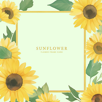 PSD 식물 디자인 감정 백그라운드 일러스트 자연 해바라기 수채화 그래픽 장식 축하카드 꽃프레임 상상력 국내일러스트 꽃 카드_감사 프레임 생태계 파일형식