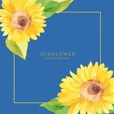 PSD 꽃 리본 백그라운드 잎 일러스트 자연 해바라기 수채화 프레임 그래픽 장식 파란색 인테리어 컬러풀 초대장 국내일러스트 식물 디자인 컬러 카드_감사 생태계 파일형식