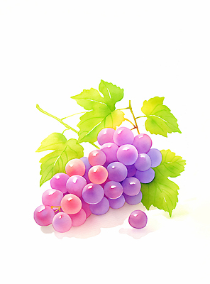 JPG 식물 잎 과일 일러스트 자연 포도 농작물 보라색 수확 신선 수분 저장 유기농 조화 먹거리 뷰티풀 색감 정물화 국내일러스트 AI일러스트 AI콘텐츠 웰빙 음식 컬러 농업 그림 생태계 파일형식