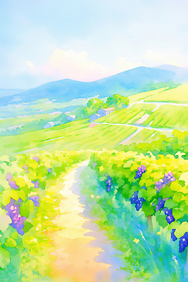 JPG 길 일러스트 자연 하늘 풍경 초록색 여름 햇빛 농장 와인 산책 언덕 그림 포도밭 오후 탐방 국내일러스트 AI일러스트 AI콘텐츠 계절 컬러 밭 농업 휴식 주류 태양 생태계 파일형식