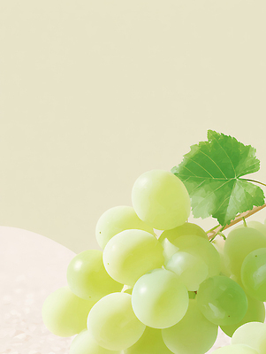 JPG 식물 백그라운드 잎 과일 일러스트 자연 포도 디저트 건강 초록색 여름 농장 과자 농사 신선 매끈함 송이 비타민 정물화 국내일러스트 AI일러스트 AI콘텐츠 계절 음식 컬러 농업 감각 그림 생태계 영양소 파일형식