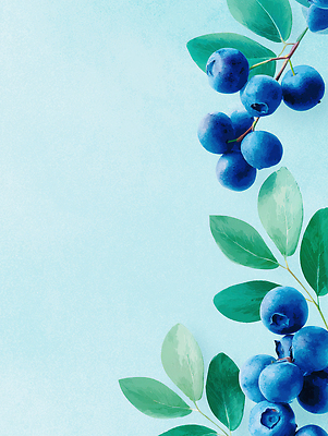 JPG 식물 음식 컬러 백그라운드 잎 농업 채소 과일 일러스트 자연 건강 여름 파란색 신선 블루베리 조화 뷰티풀 싱그러움 디지털아트 차분 국내일러스트 AI일러스트 AI콘텐츠 계절 산업 컨셉 생태계 파일형식