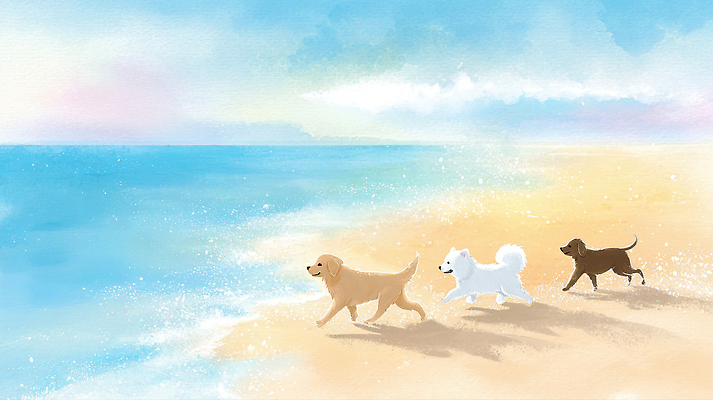 JPG 동물 모래 파도 바다 일러스트 자연 물놀이 하늘 해변 친구 달리기 햇빛 갈색 평화 걷기 산책 흰색 골든리트리버 강아지 즐거움 국내일러스트 AI일러스트 AI콘텐츠 감정 컬러 컨셉 관계 모션 놀이 휴식 반려동물 태양 개 리트리버 생태계 파일형식