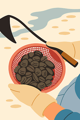 전통 손 바다 농업 일러스트 자연 여름 농작물 햇빛 농장 바구니 원두 수확 작업 농부 생태계 노력 과정 싱그러움 국내일러스트 AI파일 직업 계절 산업 커피 컨셉 신체부위 태양 파일형식 벡터