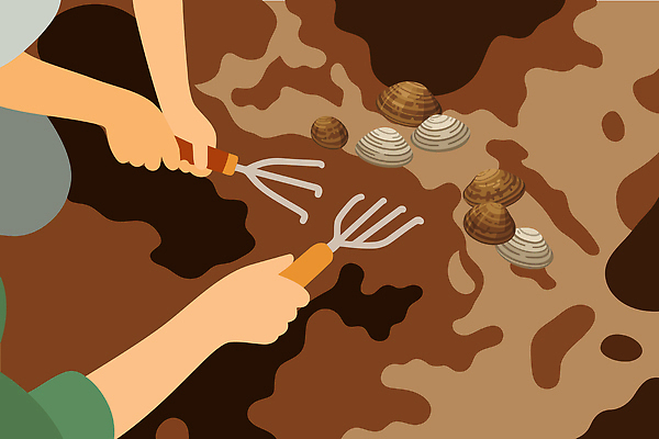 모래 바다 일러스트 가족 모션 자연 조개 샌드위치 요리 여러명 취미 해변 여름 수중동물 수확 수집 해산물 즐거움 지역 국내일러스트 AI파일 동물 계절 감정 음식 다수 농업 관계 어패류 사람 생태계 파일형식 벡터