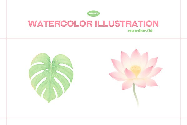 PSD 식물 디자인 꽃 잎 일러스트 자연 열대 수채화 연꽃 미술 여름 그림 심플 조화 몬스테라 뷰티풀 색감 국내일러스트 계절 문화예술 생태계 파일형식
