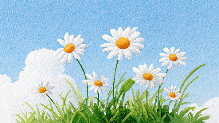 JPG 식물 구름 편집이미지 꽃 자연 하늘 생명 풍경 초원 여름 흰색 뷰티풀 싱그러움 편집실사 AI일러스트 AI콘텐츠 자연요소 계절 컬러 CG 생태계 파일형식