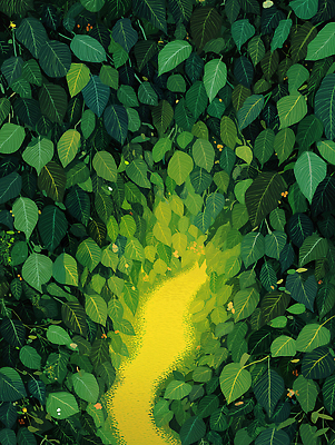 JPG 나무 길 잎 일러스트 자연 생명 휴식 풍경 초록색 여름 햇빛 평화 산책 금색 탐험 숲 뷰티풀 울창 국내일러스트 AI일러스트 AI콘텐츠 식물 계절 컬러 컨셉 태양 생태계 파일형식