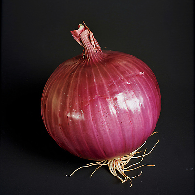 JPG 편집이미지 백그라운드 채소 자연 식탁 양파 건강 요리 식사 원형 유기농 뿌리 레시피 비타민 편집실사 AI포토 AI콘텐츠 도형 웰빙 탁자 CG 생태계 영양소 파일형식