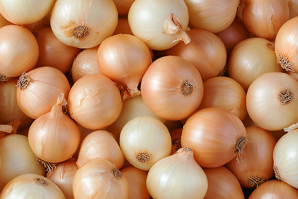 JPG 편집이미지 음식 컬러 채소 재료 자연 양파 요리 농작물 주방 시장 크기 유기농 건강식 편집실사 AI포토 AI콘텐츠 웰빙 농업 CG 생태계 파일형식