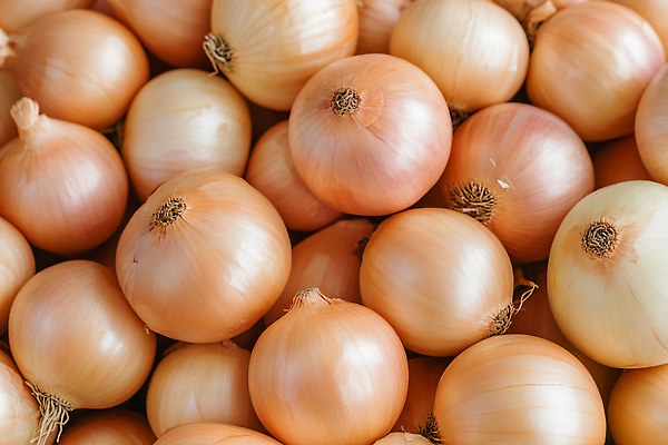 JPG 편집이미지 다이어트 채소 식재료 자연 양파 건강 요리 농장 식사 수확 맛 레시피 비타민 편집실사 AI포토 AI콘텐츠 컨셉 농업 CG 생태계 영양소 파일형식