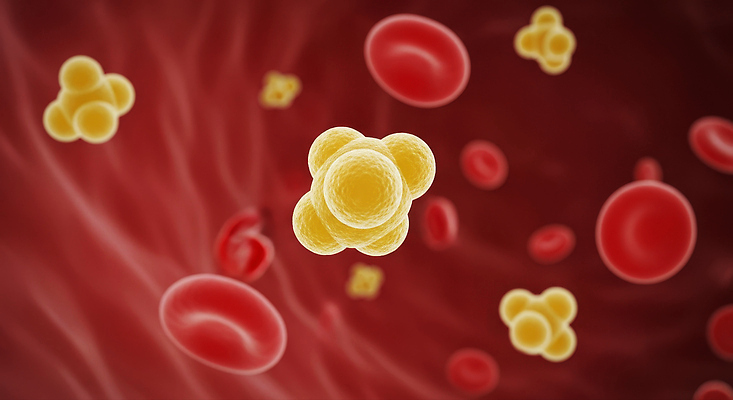 JPG 편집이미지 과학 생명 세포 건강 실험 관찰 혈액 구출 생물학 미생물 적혈구 생명과학 편집실사 AI컴퓨터그래픽 AI콘텐츠 교육 모션 생물 도움 CG 혈구 파일형식
