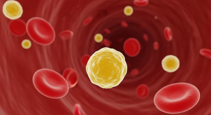JPG 편집이미지 디자인 신체 생명 세포 건강 혈액 구출 생물학 순환 원자 혈관 혈액순환 적혈구 면역력 백혈구 편집실사 AI컴퓨터그래픽 AI콘텐츠 교육 모션 도움 장기_의학 CG 혈구 파일형식