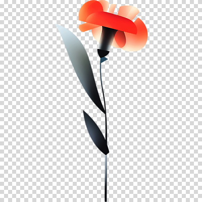 식물 컬러 무늬 생태계 파일형식 꽃 빨간색 잎 추상 모던 디자인 그래픽 자연 예술 모양 배열 감각 편집이미지 PNG