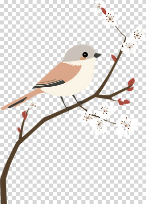 식물 동물 계절 공공시설 조류 휴식 반려동물 생태계 파일형식 꽃 봄 자연 조화 나무 생명 컬러 뷰티풀 애완조 공원 산책 편집이미지 PNG