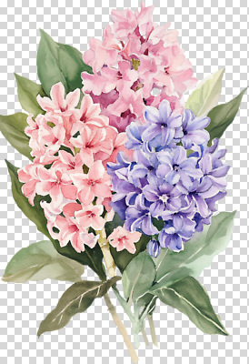 계절 꽃 생태계 파일형식 수선화 꽃다발 수채화 컬러 자연 식물 예술 그림 뷰티풀 봄 장식 디자인 조화 풍경 편집이미지 PNG