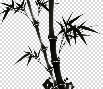 식물 편집이미지 한국전통 문화 예술 선 캘리그라피 자연 흑백 먹 대나무 그림 PNG 뷰티풀 나무 전통 서예 한국 촬영기법 생태계 파일형식