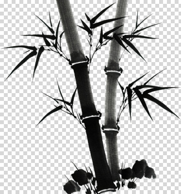 식물 편집이미지 전통 아시아 예술 줄기 잎 자연 검은색 흰색 대나무 동양화 그림 조화 PNG 나무 나라 컬러 미술 생태계 파일형식