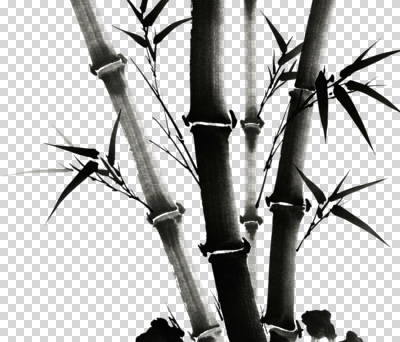 식물 편집이미지 전통 디자인 예술 선 백그라운드 잎 자연 수묵화 그리기 우아함 대나무 질감 한국화 PNG 뷰티풀 나무 컨셉 모션 미술 동양화 생태계 파일형식