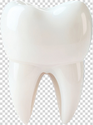 편집이미지 교육 건강 치과 일상 치료 자신감 치아 구강 예방 치아모형 PNG 외모 감정 의학 병원 라이프 입 소화기관 파일형식