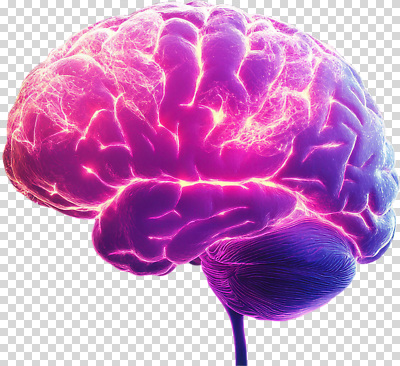 모양 편집이미지 디자인 컬러 과학 패턴 생명 기술 빛 신비 두뇌 신경 PNG 상상력 창의성 컨셉 무늬 뇌 파일형식