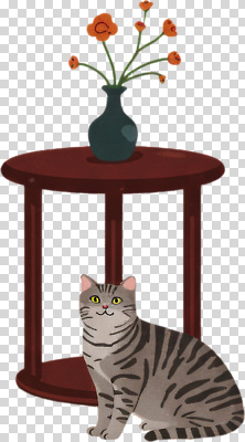 식물 동물 편집이미지 꽃 행복 탁자 집안 실내 반려동물 인테리어 귀여움 꽃병 고양이 줄무늬 편안함 PNG 디자인 감정 가구 컨셉 무늬 포유류 내부 감각 파일형식