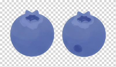 편집이미지 음식 농업 과일 자연 건강 신선 맛 질감 블루베리 청록색 PNG 색감 디지털아트 산업 컬러 컨셉 생태계 파일형식