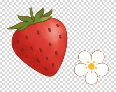 식물 계절 컬러 과일 취미 생태계 파일형식 딸기 빨간색 꽃 흰색 자연 잎 원예 채소 성장 여름 신선 편집이미지 PNG
