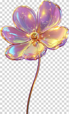 모양 편집이미지 디자인 꽃 장식 빛 인테리어 컬러풀 공간 매력적 모던 그림 개성 PNG 반투명 세련 식물 컬러 컨셉 파일형식