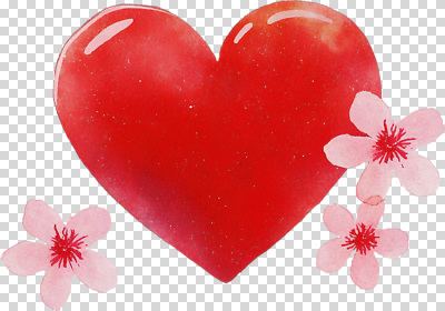 편집이미지 디자인 꽃 감정 예술 분홍색 컬러 자연 수채화 사랑 그래픽 장식 하트 PNG 뷰티풀 창의성 모양 식물 생태계 파일형식