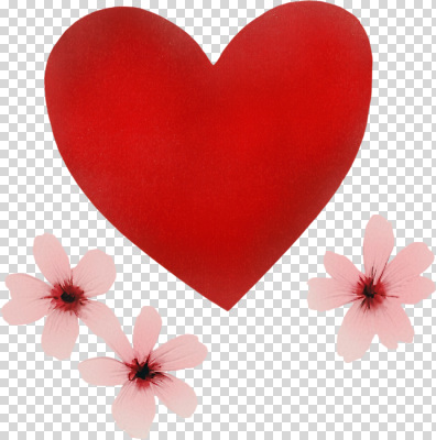 편집이미지 디자인 꽃 감정 예술 분홍색 사랑 빨간색 우정 기쁨 하트 분위기 조화 PNG 뷰티풀 모양 식물 컬러 컨셉 친구 파일형식