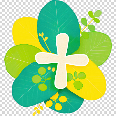 식물 편집이미지 디자인 꽃 컬러 잎 패턴 자연 심플 조화 PNG 생동감 싱그러움 창의성 무늬 생태계 파일형식