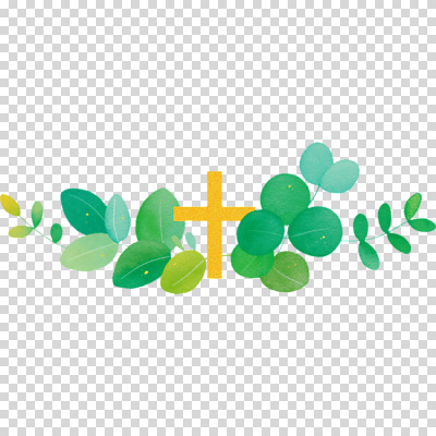 식물 편집이미지 디자인 종교 컬러 백그라운드 십자가 잎 자연 수채화 장식 초록색 노란색 기독교인 그림 PNG 기독교 생태계 파일형식