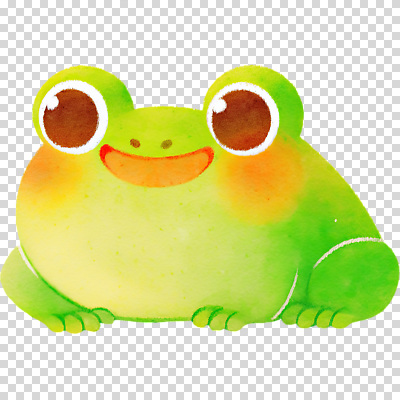 컬러 모션 표정 양서류 감각 생태계 파일형식 개구리 자연 동물 미소 생동감 그림 편안함 앉기 초록색 편집이미지 PNG