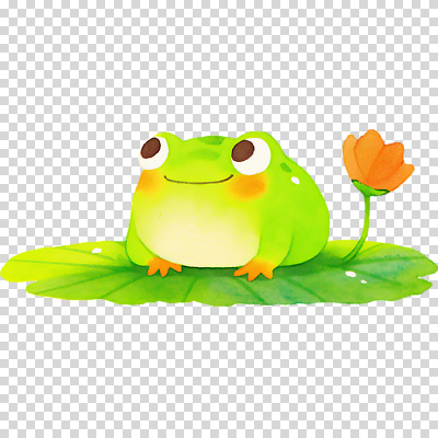 식물 계절 꽃 컬러 컨셉 잎 표정 양서류 수상스포츠 생태계 파일형식 개구리 연꽃 연잎 웃음 초록색 귀여움 자연 수중식물 동물 생물 수영 여름 장식 편집이미지 PNG