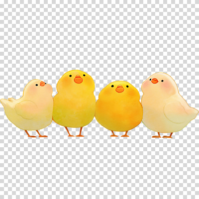동물 컬러 컨셉 조류 생태계 파일형식 병아리 노란색 귀여움 자연 생명 모임 표정 아기자기 함께함 분위기 조화 시선 편집이미지 PNG