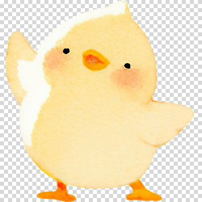 감정 새끼 컬러 컨셉 조류 사람 신체부위 생태계 파일형식 병아리 노란색 귀여움 아기새 동물 행복 모션 팔 수채화 어린이 자연 색감 애니메이션 편집이미지 PNG