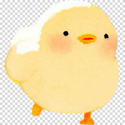컬러 컨셉 조류 생태계 파일형식 병아리 노란색 귀여움 동물 생명 털 특징 모션 생동감 자연 편집이미지 PNG