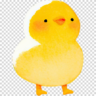 동물 감정 컬러 컨셉 모션 조류 휴식 감각 파일형식 병아리 노란색 귀여움 걷기 산책 애니메이션 캐릭터 호기심 부드러움 색감 편집이미지 PNG