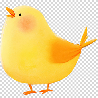 동물 감정 음악 컬러 컨셉 생태계 파일형식 조류 노란색 귀여움 소리 노래 바닥 표정 자연 생물 즐거움 편집이미지 PNG