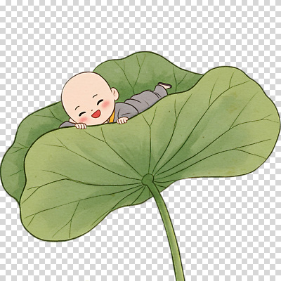 식물 꽃 감정 컨셉 표정 사람 감각 성직자 생태계 파일형식 아기 승려 연꽃 잎 자연 웃음 편안함 여유 휴식 백그라운드 행복 귀여움 상상 어린이 생명 편집이미지 PNG
