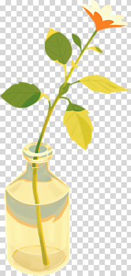 식물 디자인 컬러 내부 생태계 파일형식 꽃 노란색 잎 자연 뷰티풀 인테리어 장식 생명 빛 계절 심플 실내 편집이미지 PNG